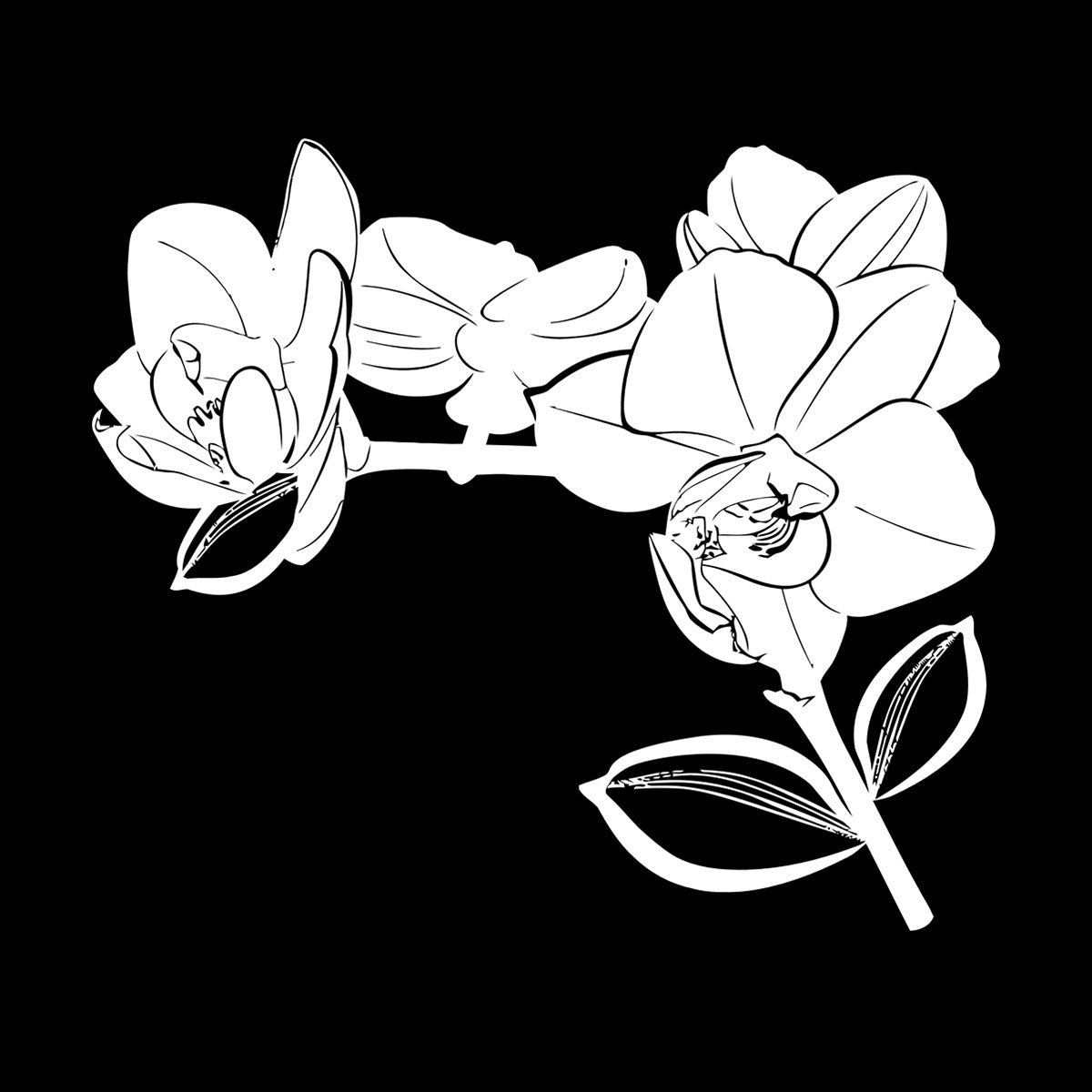 Bud Leaves Branch Flowers Orchid Mural And Wall Vinyl Decal Window Decals