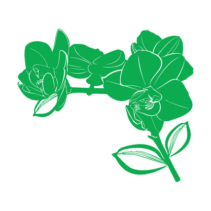 Bud Leaves Branch Flowers Orchid Mural And Wall Vinyl Decal Window Decals