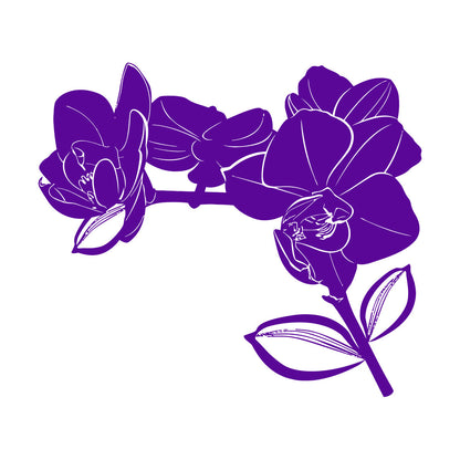 Bud Leaves Branch Flowers Orchid Mural And Wall Vinyl Decal Window Decals