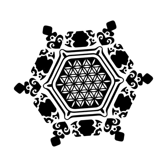 Wall Stickers Paster Paper Snowflake Water Crystal Flower Life Home Glass Stickers