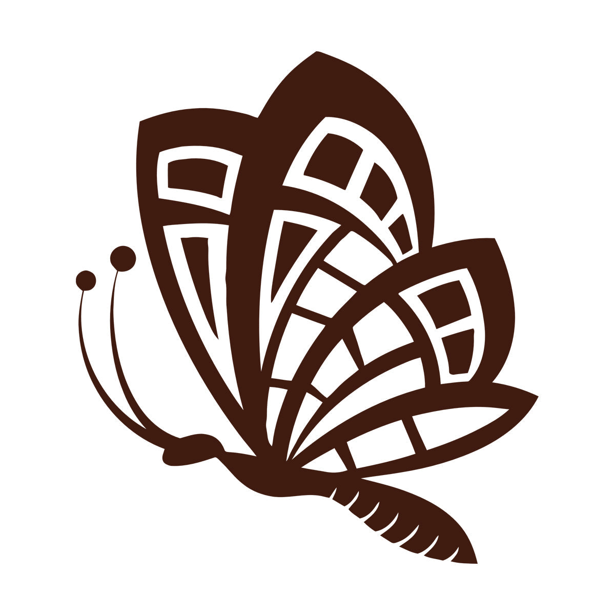 Butterfly Animals Insects Flower Patterns Wings Flying Vinyl Wall Decals Art Decoration