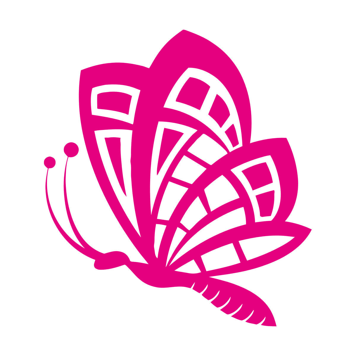 Butterfly Animals Insects Flower Patterns Wings Flying Vinyl Wall Decals Art Decoration