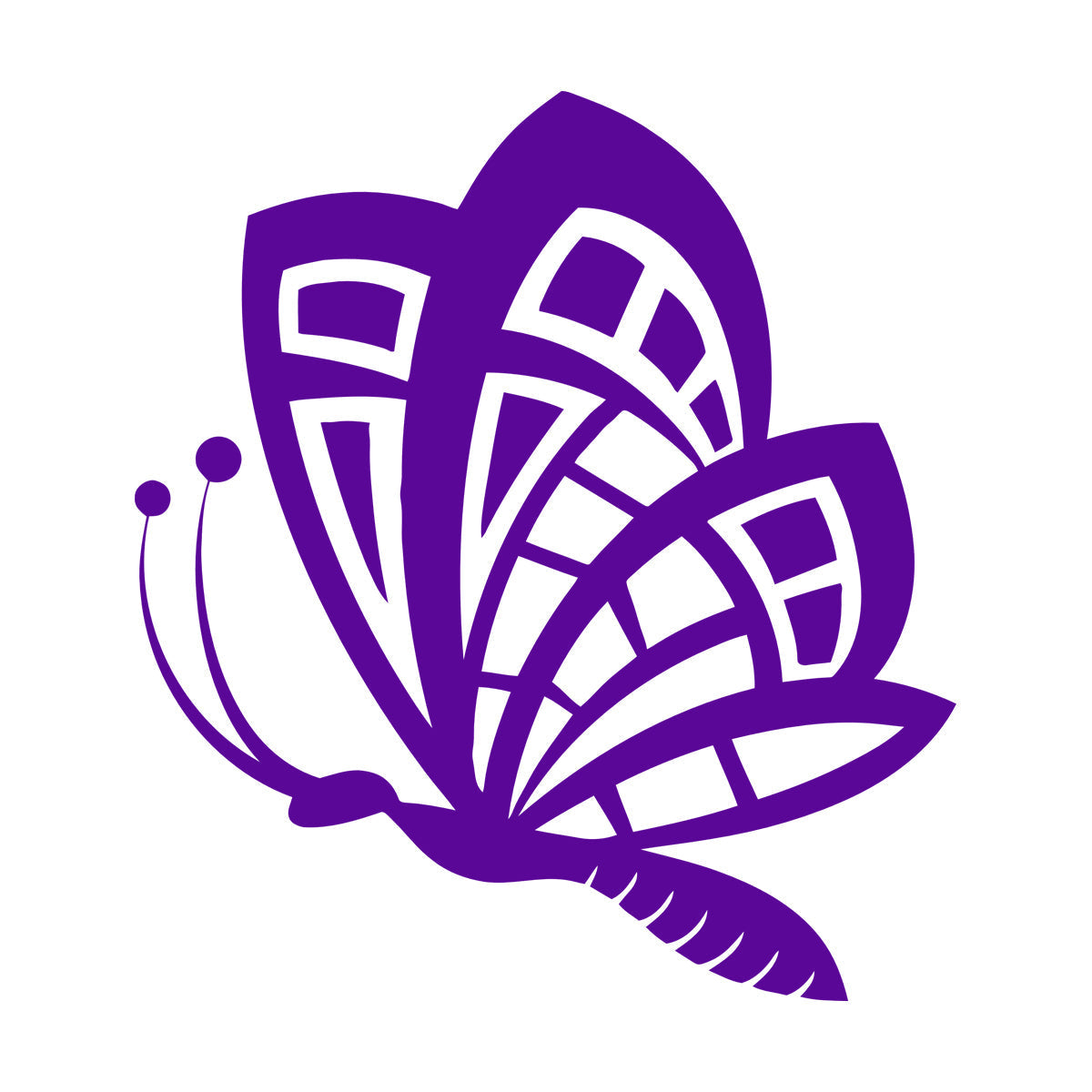 Butterfly Animals Insects Flower Patterns Wings Flying Vinyl Wall Decals Art Decoration