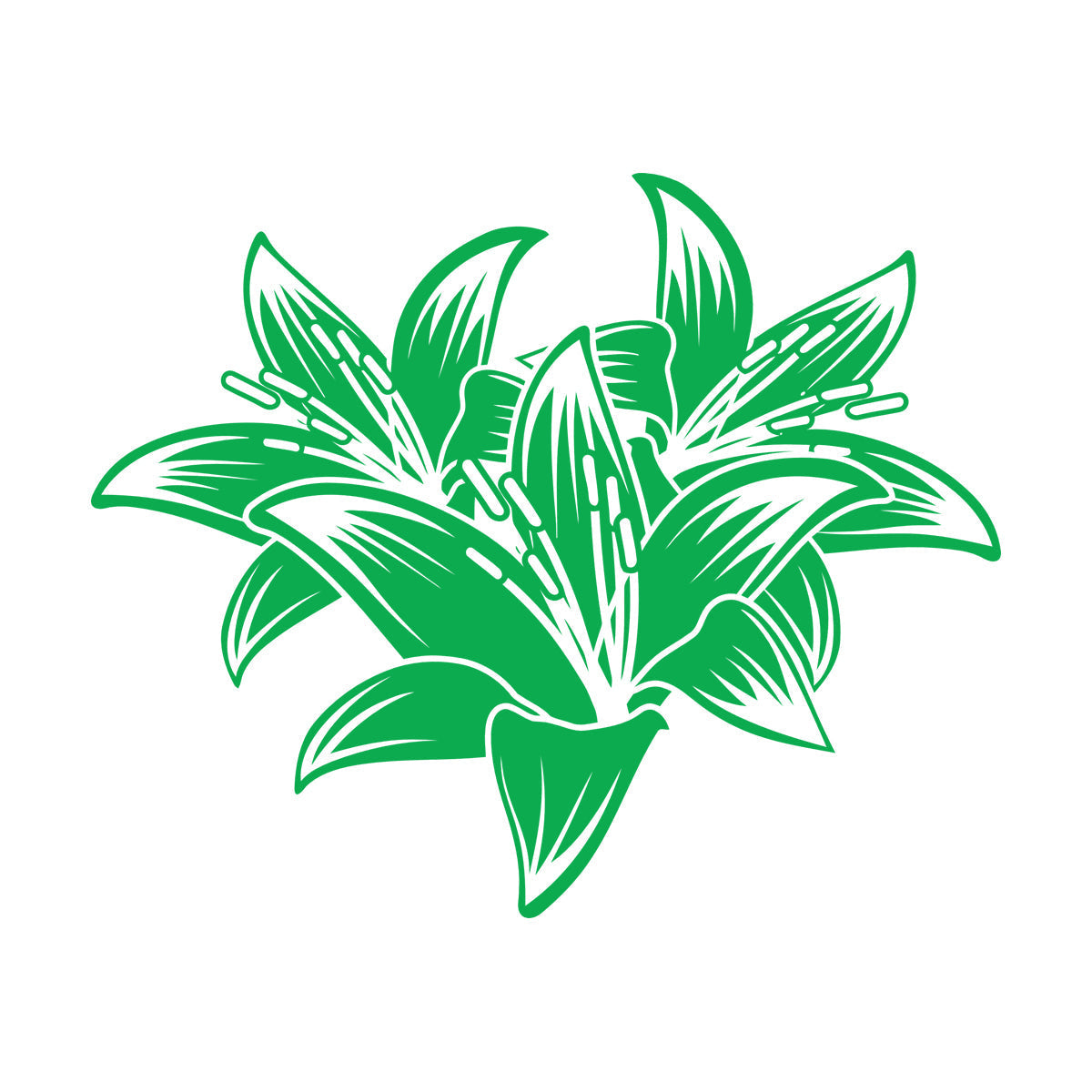 Vinyl Wall Decals Hibiscus Beautiful Tropical Flowers Removable Without Leaving Glue