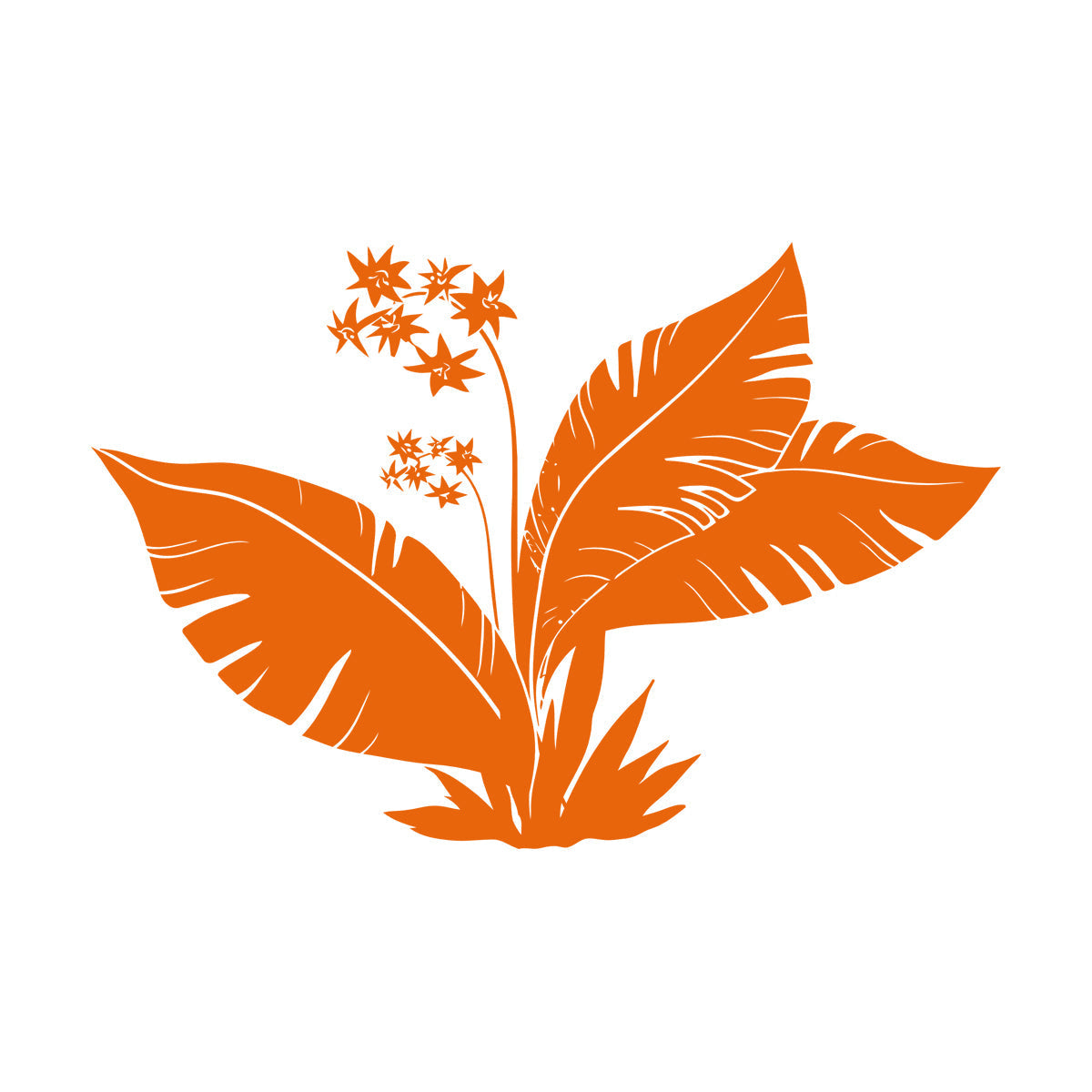 Tropics Flowers Palm Tree Leaves Home Wall Vinyl Sticker Decor Equipped With Transfer Film Kit