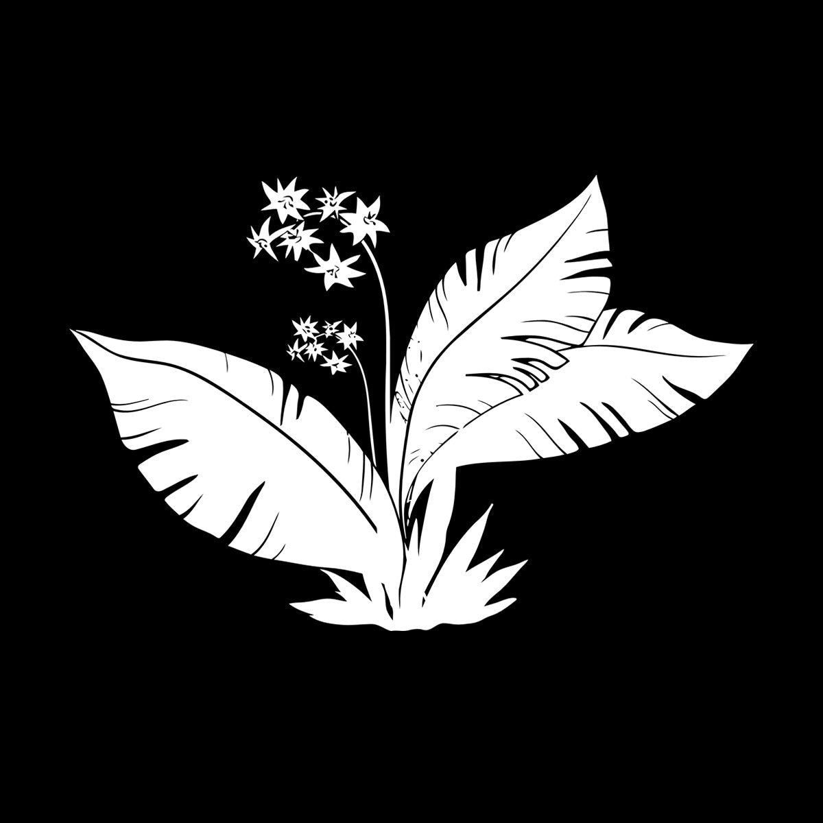 Tropics Flowers Palm Tree Leaves Home Wall Vinyl Sticker Decor Equipped With Transfer Film Kit