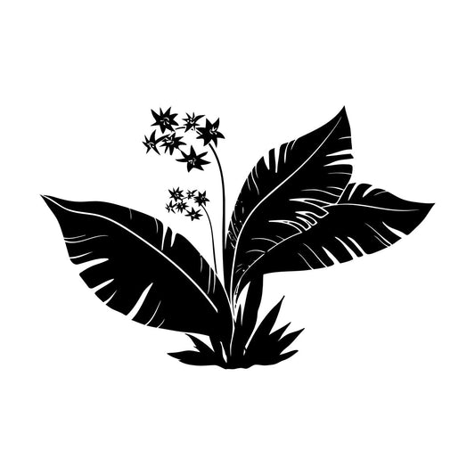 Tropics Flowers Palm Tree Leaves Home Wall Vinyl Sticker Decor Equipped With Transfer Film Kit