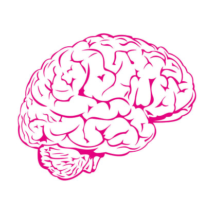 Fine Carving Stickers Brain Mind Anatomy Intellect Science Medicine Doctor It Won'T Fall Off