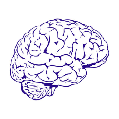 Fine Carving Stickers Brain Mind Anatomy Intellect Science Medicine Doctor It Won'T Fall Off