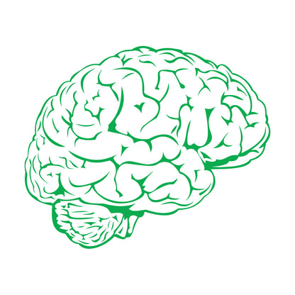 Fine Carving Stickers Brain Mind Anatomy Intellect Science Medicine Doctor It Won'T Fall Off