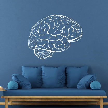 Fine Carving Stickers Brain Mind Anatomy Intellect Science Medicine Doctor It Won'T Fall Off