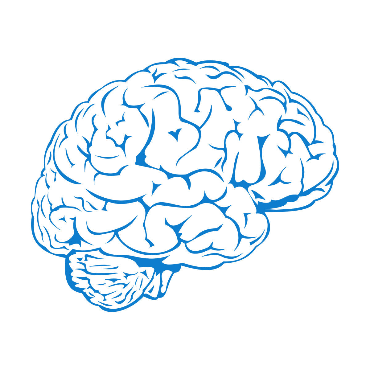 Fine Carving Stickers Brain Mind Anatomy Intellect Science Medicine Doctor It Won'T Fall Off