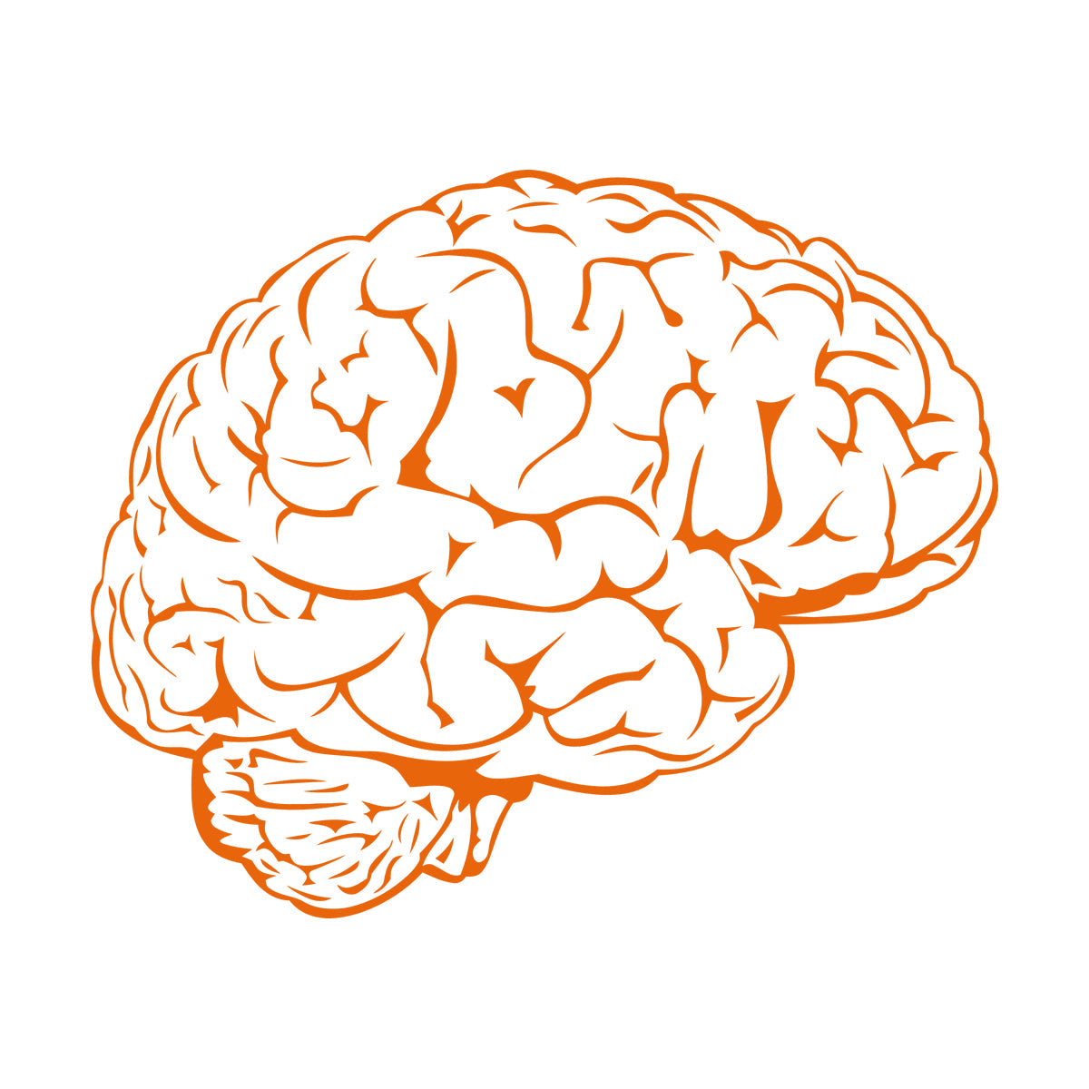 Fine Carving Stickers Brain Mind Anatomy Intellect Science Medicine Doctor It Won'T Fall Off