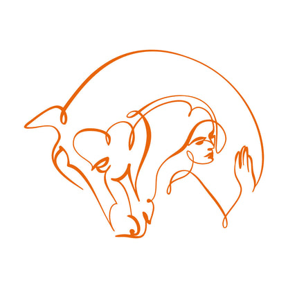 Wall Stickers Abstract Beautiful Horse Girl Woman Animal Do Not Damage The Wall Surface