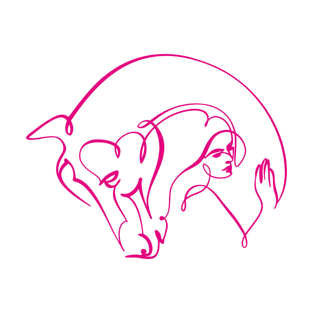 Wall Stickers Abstract Beautiful Horse Girl Woman Animal Do Not Damage The Wall Surface