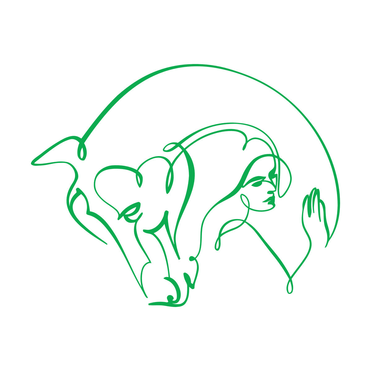 Wall Stickers Abstract Beautiful Horse Girl Woman Animal Do Not Damage The Wall Surface