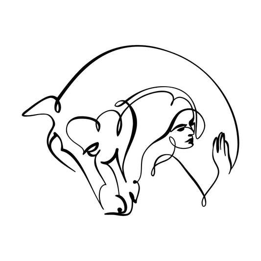 Wall Stickers Abstract Beautiful Horse Girl Woman Animal Do Not Damage The Wall Surface