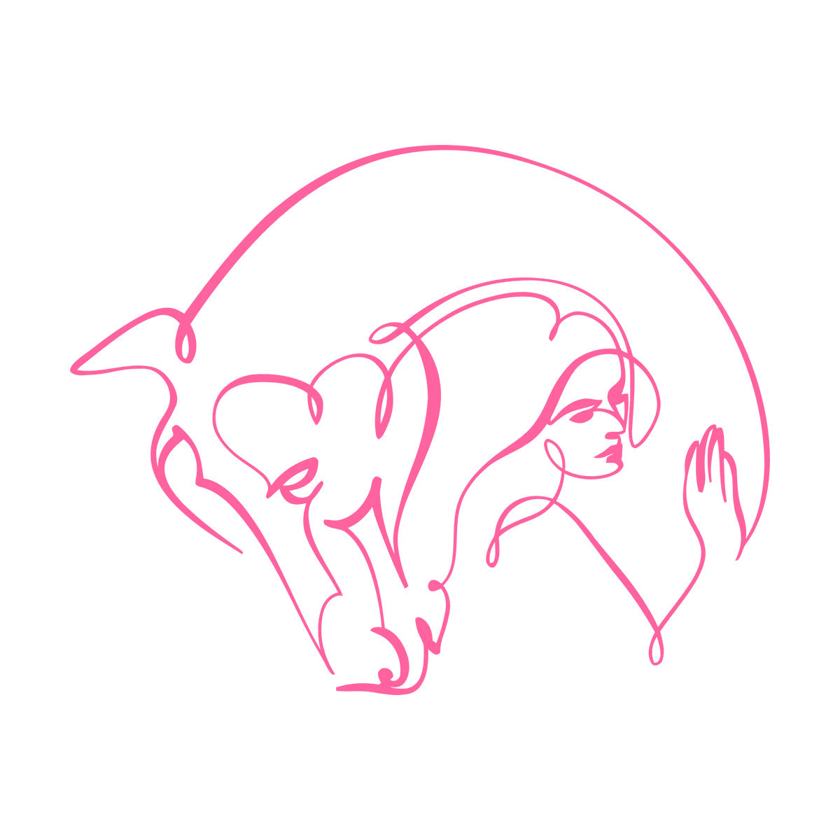 Wall Stickers Abstract Beautiful Horse Girl Woman Animal Do Not Damage The Wall Surface