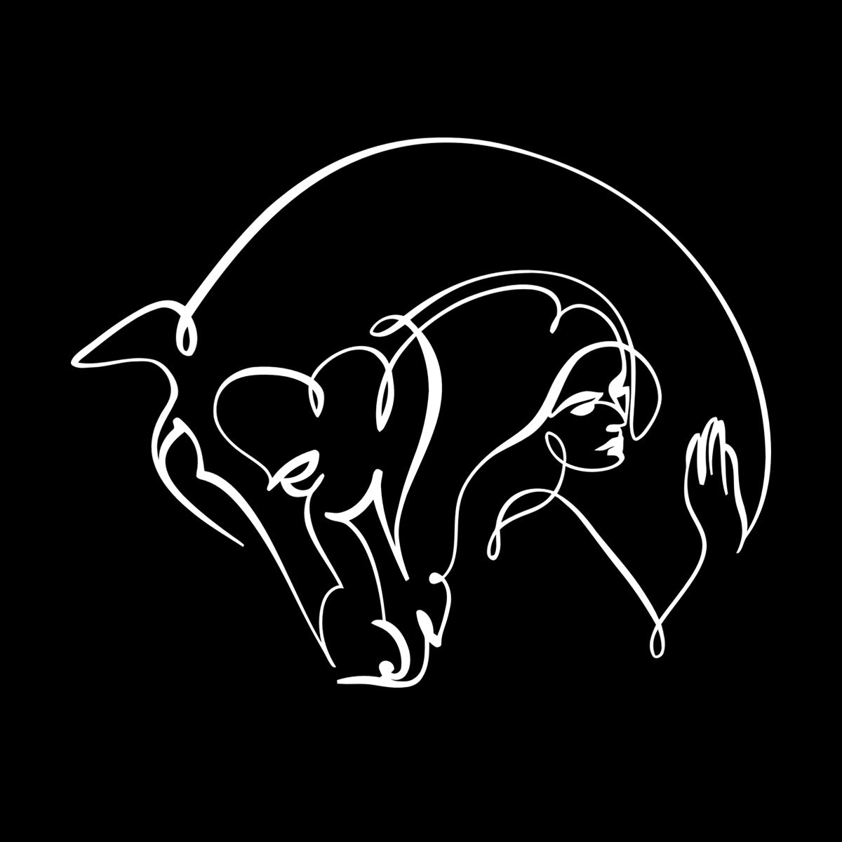 Wall Stickers Abstract Beautiful Horse Girl Woman Animal Do Not Damage The Wall Surface