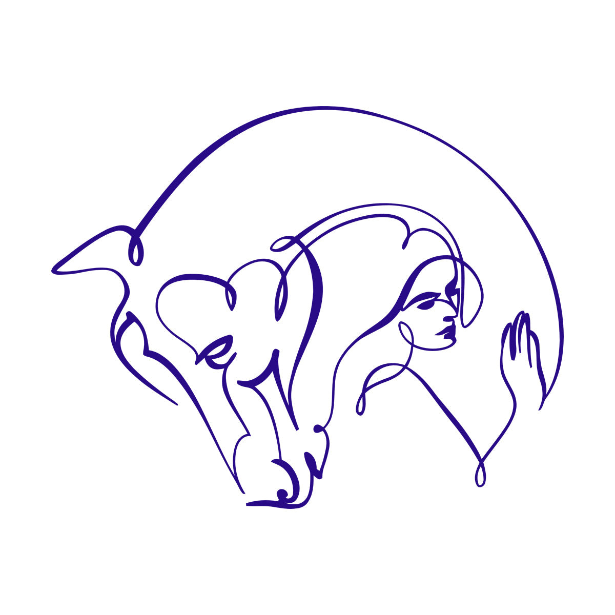 Wall Stickers Abstract Beautiful Horse Girl Woman Animal Do Not Damage The Wall Surface