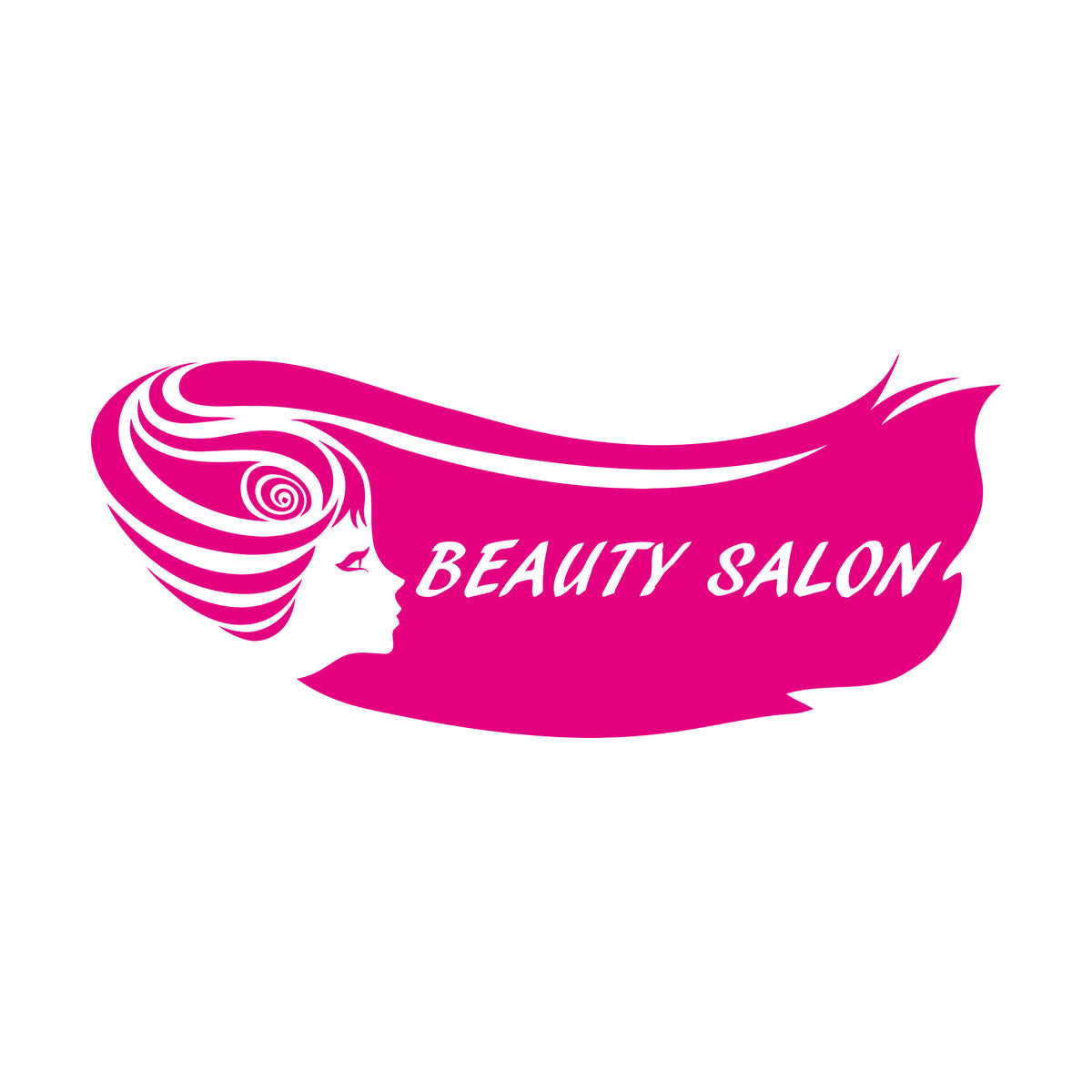 Vinyl Wall Decals Beauty Salon Hair Woman Girl Barbershop Stylist Art Mural Painting