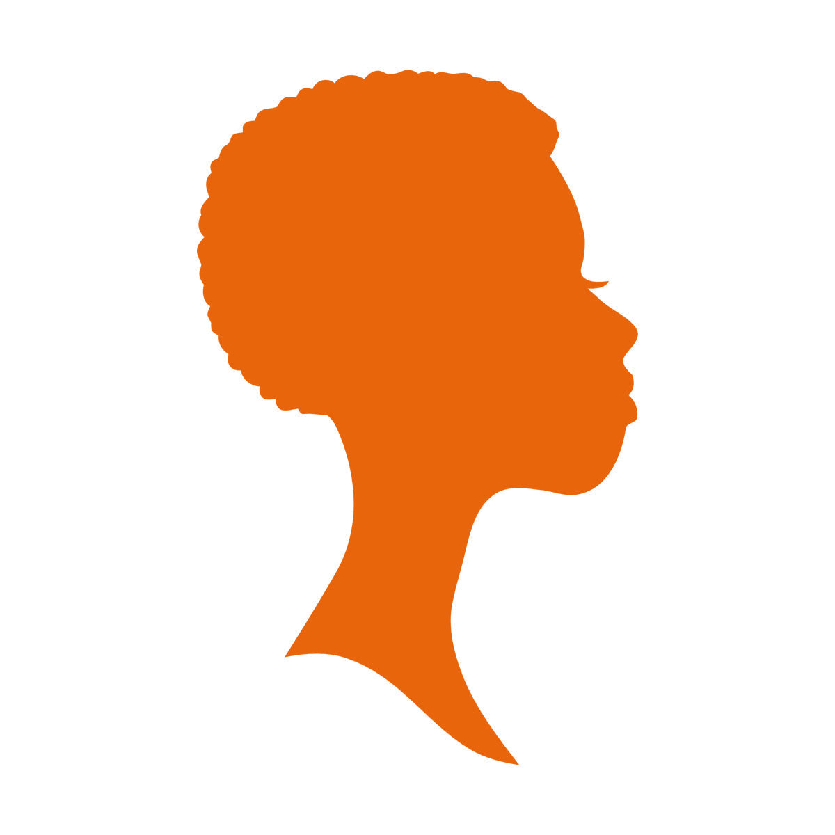 Wall Vinyl Sticker Decor Profile Afro Woman Girl Face Beauty Fashion Easy Installation