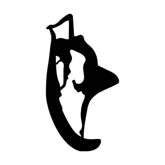 Vinyl Wall Decals Girl Woman Shadow Silhouette Dance Do Not Damage The Wall Surface