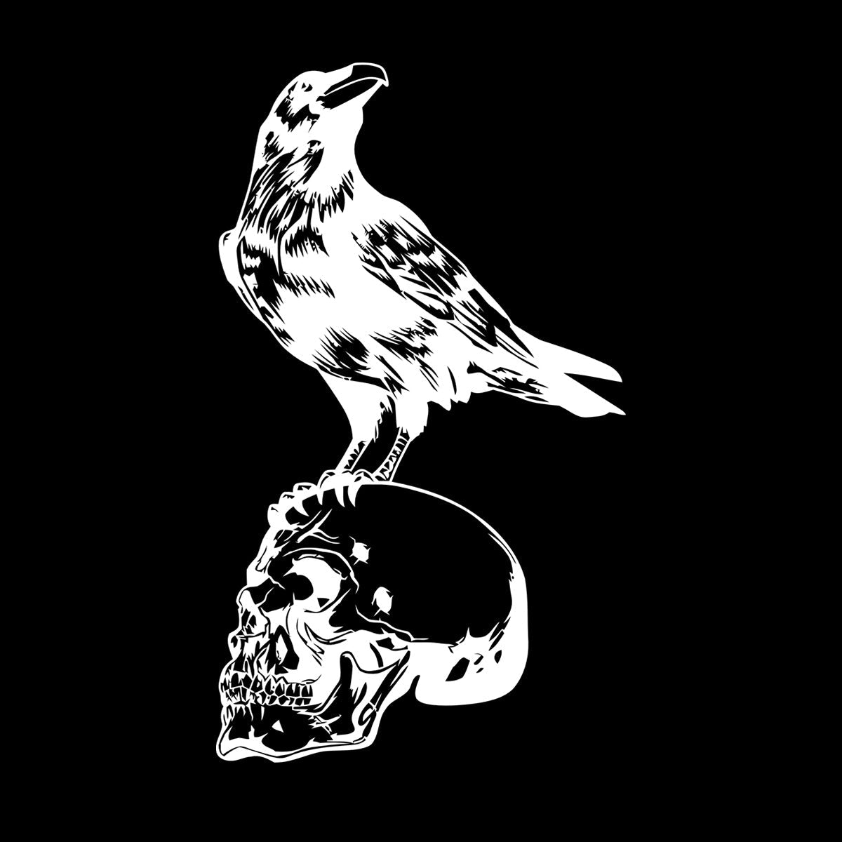 Vinyl Wall Stickers Bird Raven Skull Skeleton Gothic Style Multiple Size Options