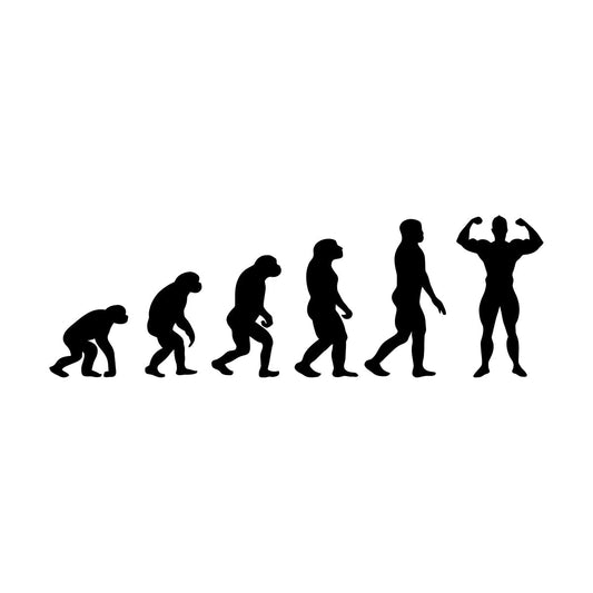Wall Stickers Gymnastics Evolution Man Bodybuilding Fitnesscenter Tattoo Culture