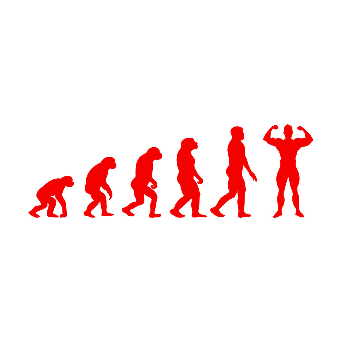 Wall Stickers Gymnastics Evolution Man Bodybuilding Fitnesscenter Tattoo Culture