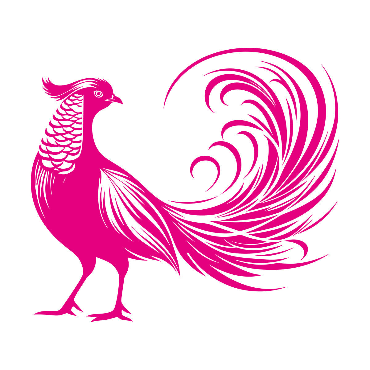 Stickers muraux élégants représentant un oiseau exotique aux plumes de queue déployées, au design artistique. N'abîment pas les murs.